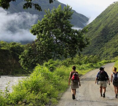 Disponibilidad y Precios del Inca Jungle 2025: Grupos, Fechas y Ofertas Especiales Disponibilidad y Precios del Inca Jungle 2025: Grupos, Fechas y Ofertas Especiales